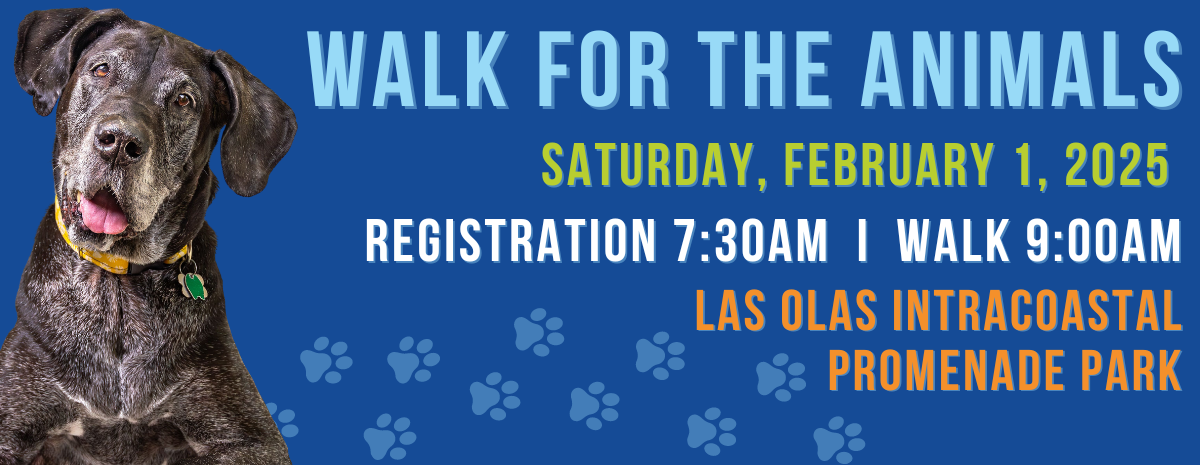 2025 VCA Walk for the Animals